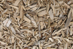 biomass boilers Sandbank